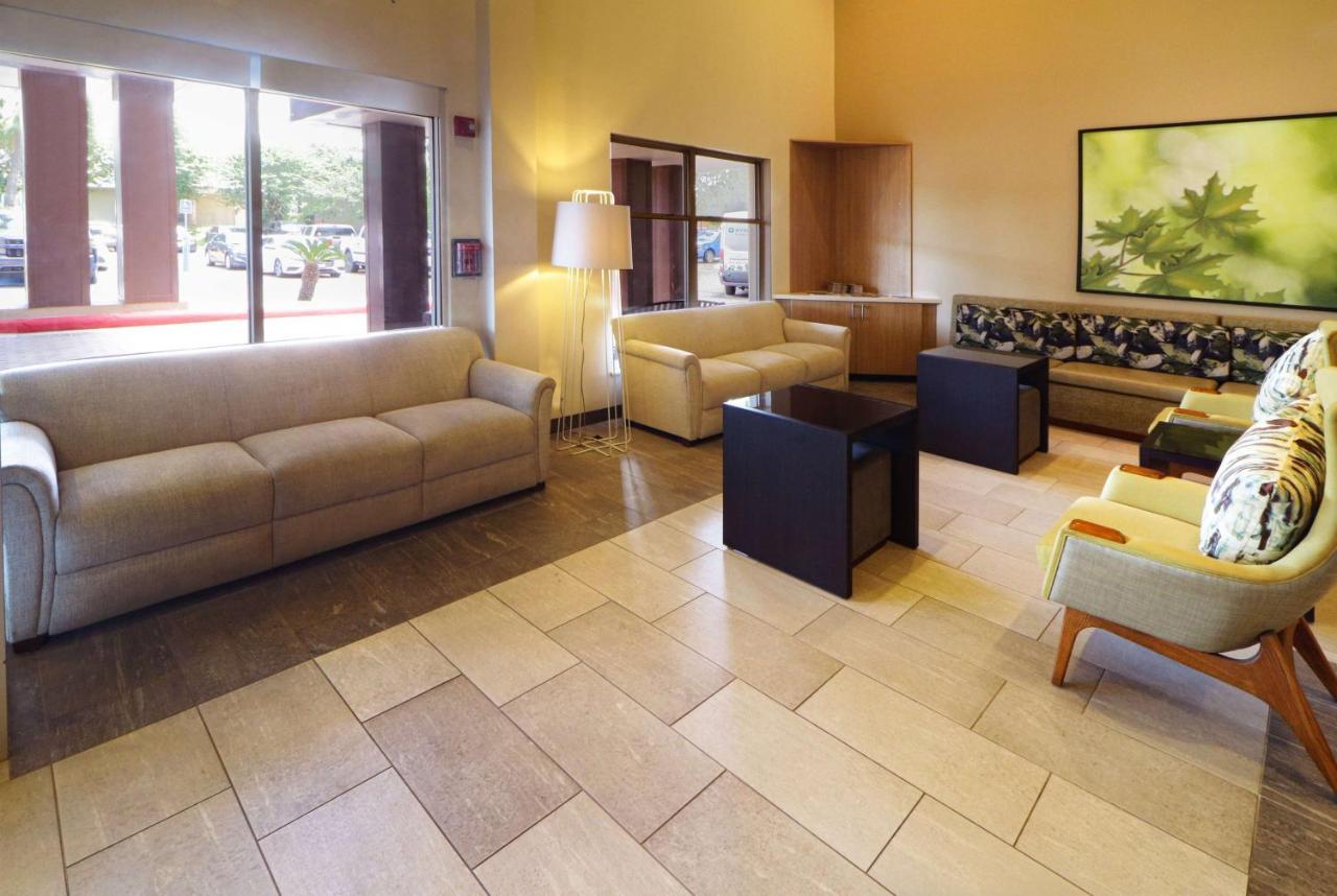Wyndham Garden McAllen at La Plaza Mall Dış mekan fotoğraf